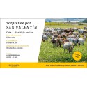 CATA SAN VALENTÍN